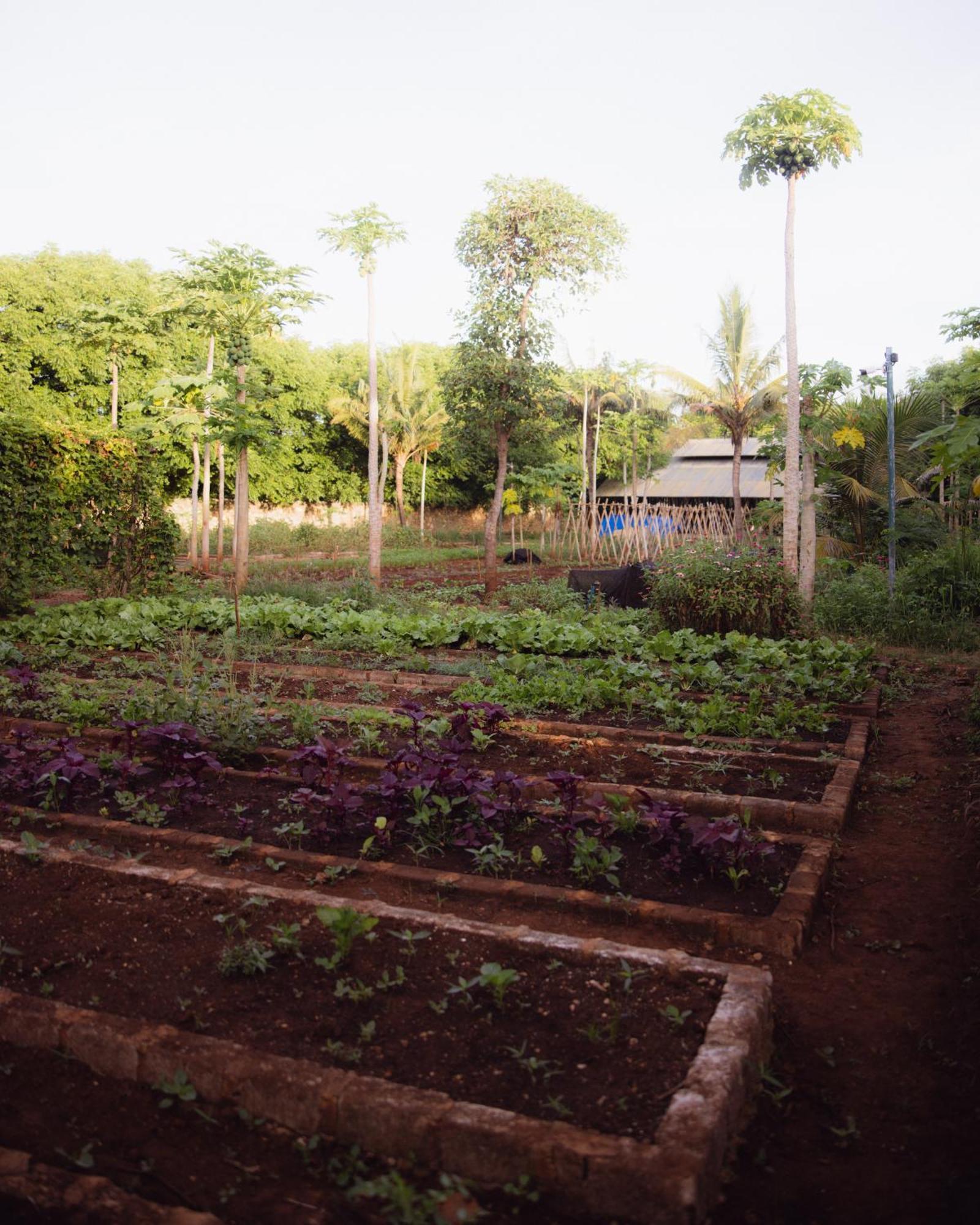 Maringi Sumba By The Sumba Hospitality Foundation Waikelo Eksteriør billede